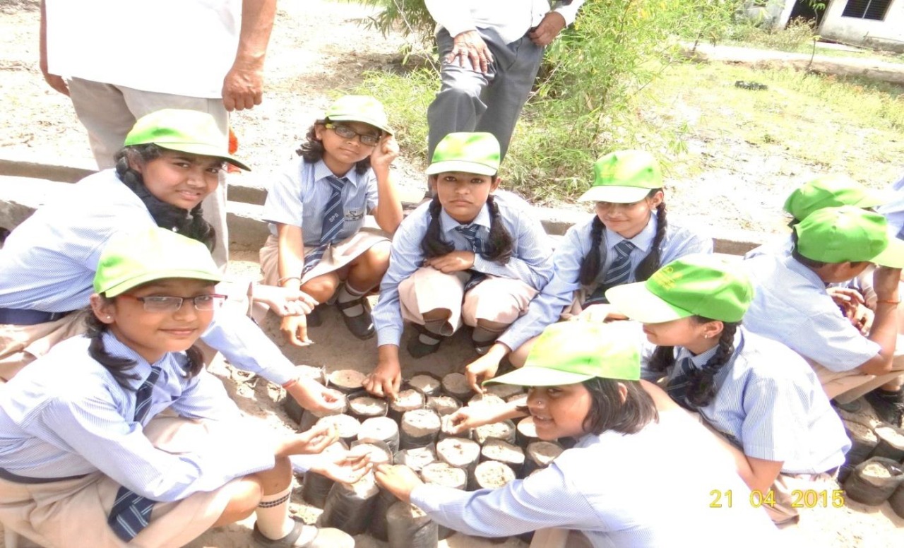 Skills Development, Mini Forestry and Poverty Allevation